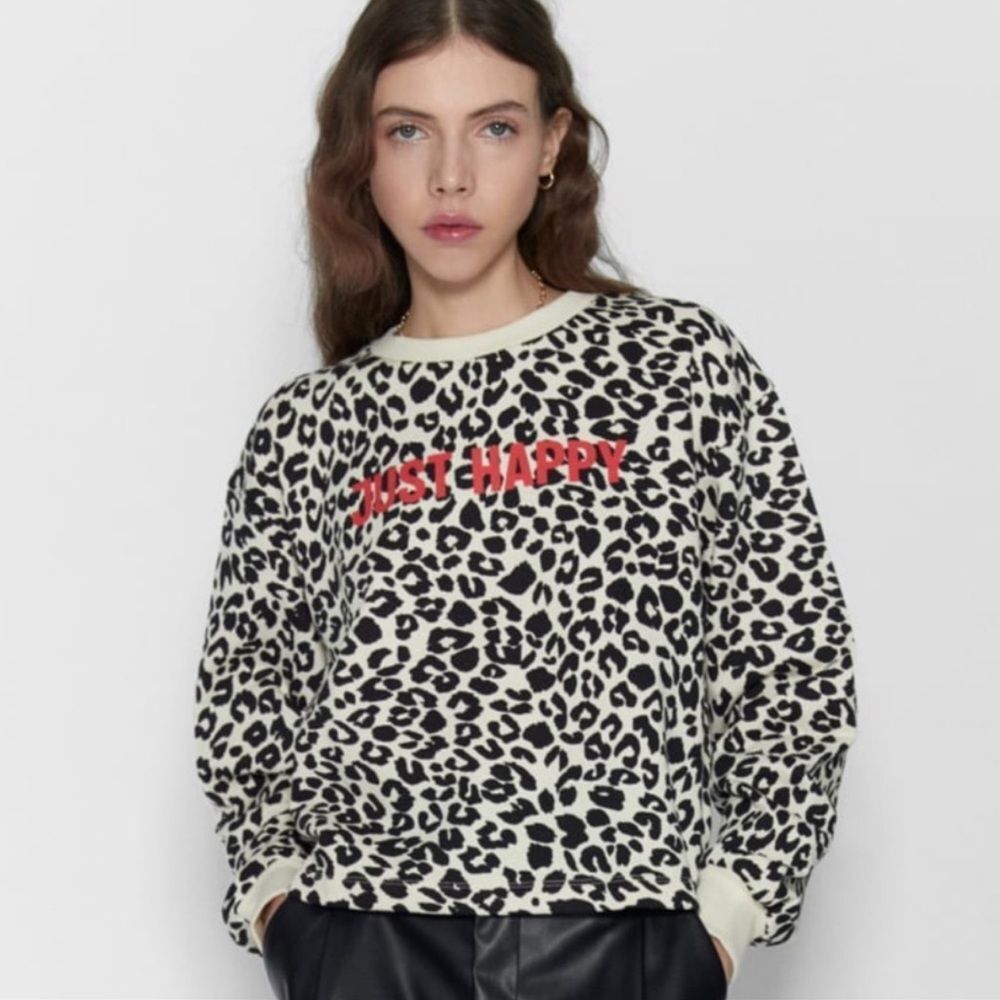 Zara Leopard print sweater